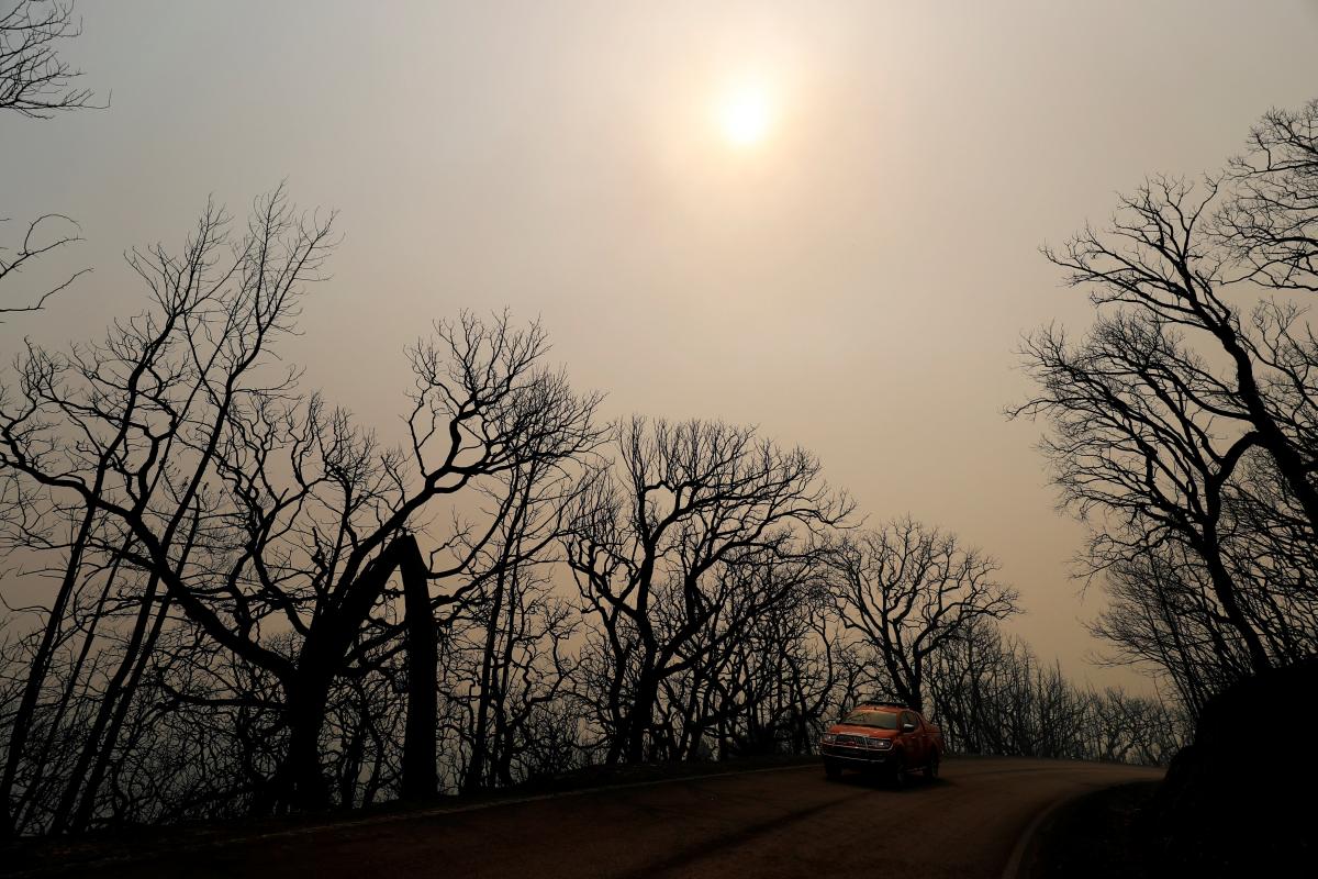 У Португалії вирують лісові пожежі / REUTERS