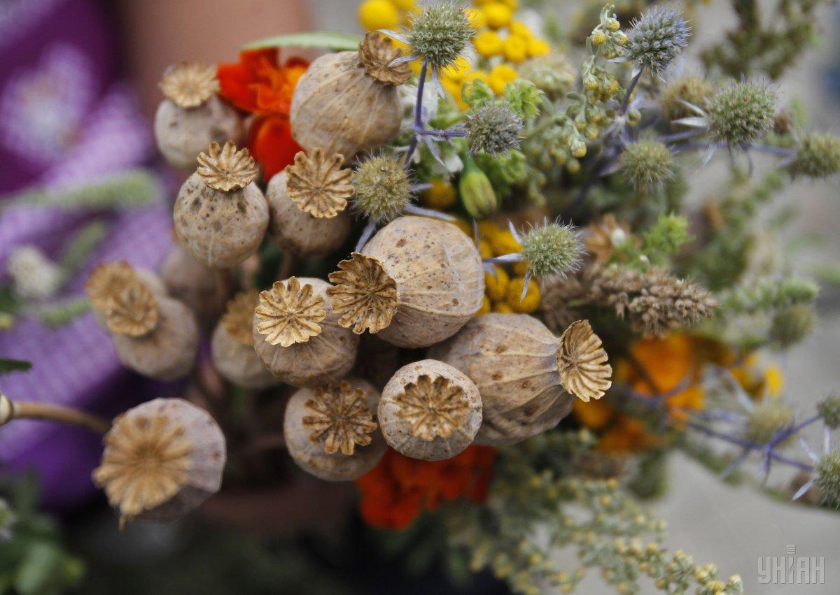 С Медовым Спасом / УНИАН С Медовым Спасом / УНИАН