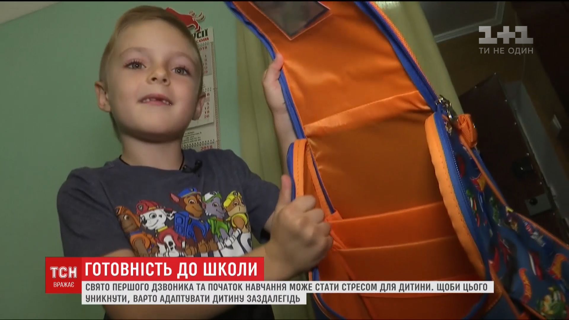 Не можна змушувати дитину боятися школи / Кадр з відео ТСН Не можна змушувати дитину боятися школи / Кадр з відео ТСН