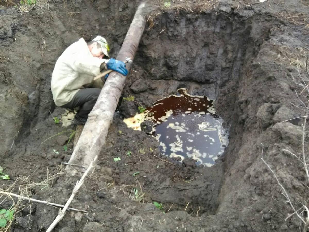 Против «Гайсинского спиртзавода» возбудили дело за загрязнение экологии Против «Гайсинского спиртзавода» возбудили дело за загрязнение экологии