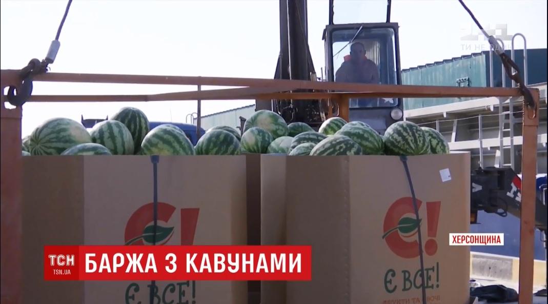 Херсонские арбузы уже на пути к столице / Скриншот - ТСН Херсонские арбузы уже на пути к столице / Скриншот - ТСН