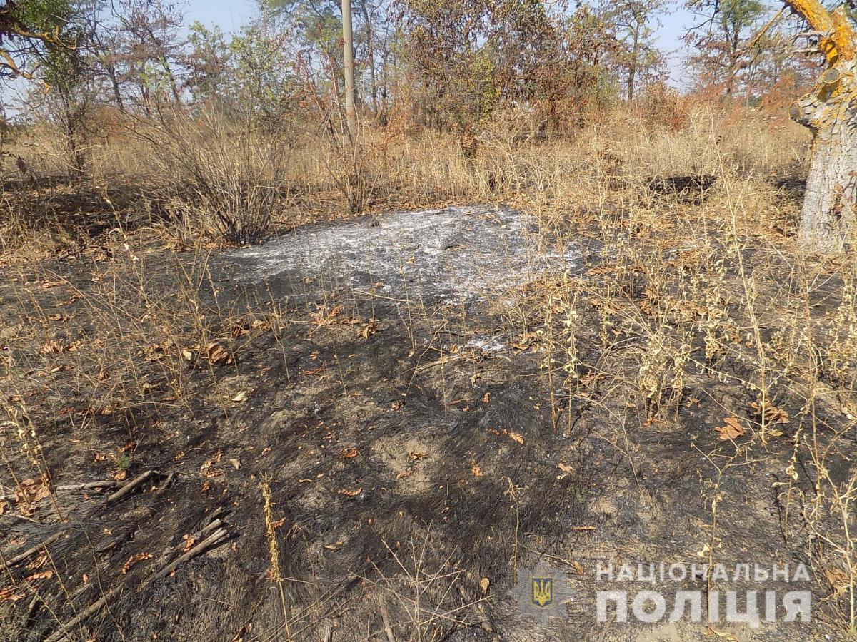 Винодел Кристоф Лакарен обвинил полицию во лжи о своих виноградниках / фото НПУ Винодел Кристоф Лакарен обвинил полицию во лжи о своих виноградниках / фото НПУ