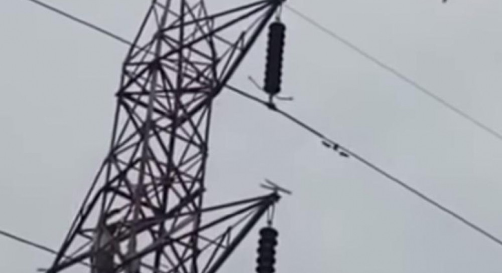 Обезьяна прыгнула с 50-метровой вышки и прославилась - видео