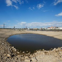 В Германии из-за жары пересыхают реки