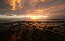 Количество смертей от аномальной жары вырастет в разы - ученые