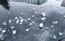 На Житомирщине на Пасху выпал огромный град (видео)
