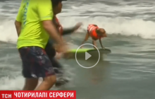 У Сан-Франциско пройшли змагання з серфінгу для собак (відео)