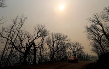 Португалія у вогні: пожежі охопили більше тисячі гектарів лісу