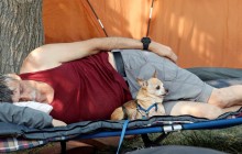 Маленьких собак викрили в тому, що вони видають себе за великих, коли мітять територію