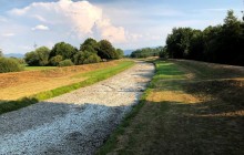 Екстремальна спека в Європі спровокувала овочеву кризу - найсерйознішу за 40 років