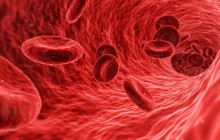 Сигнал смерти: ученые впервые узнали скорость гибели клеток