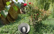 В районе Авдеевской промзоны террористы ежедневно будут слушать гимн Украины - волонтеры