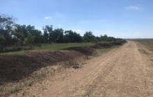 В Херсоне птицефабрику наказали за смрад