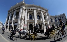 Wizz Air объявил однодневную распродажу на отдельные польские и австрийские рейсы