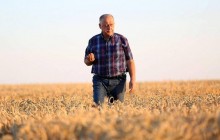 На Тернопільщині підприємство, піднявши зарплату до ринкового рівня, зупинило відтік працівників на закордонні заробітки