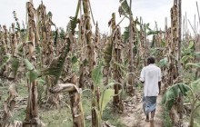 Ученые предупредили, что 2019-й может стать самым жарким годом в истории