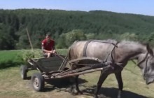 Психолог розповіла, як допомога батькам під час канікул впливає на дітей (відео)