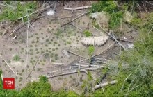В джунглях Бразилии сняли аборигенов, ведущих первобытный образ жизни и вооруженных луками (видео)