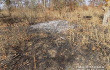Поджог виноградников под Одессой: французский винодел обвинил полицию во лжи