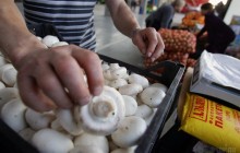 В Україні стрімко подорожчали печериці