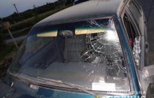 На Днепропетровщине задержали водителя, который сбил насмерть ребенка и скрылся с места ДТП (фото)