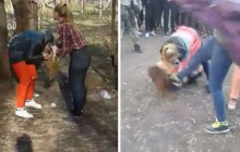 Жестоко избитой в Чернигове школьнице снова угрожают расправой (фото)