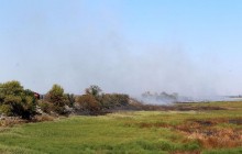 Рятувальники третю добу гасять пожежу торфовищ на Полтавщині (відео)