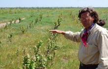 Журналісти встановили, що скандал з виноградниками Лакарена – провокація винороба