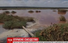 «Екологічна катастрофа» під Миколаєвом: в Новій Одесі річкова вода набула рожевого забарвлення від шкідливих викидів (відео)