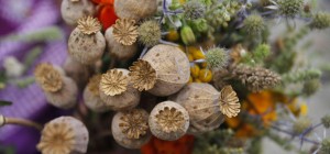 С Маковеем: красивые открытки и искренние пожелания добра и благодати