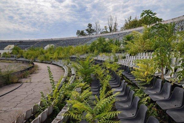 Трибуны заросли травой / фото IgorGirkin, Twitter