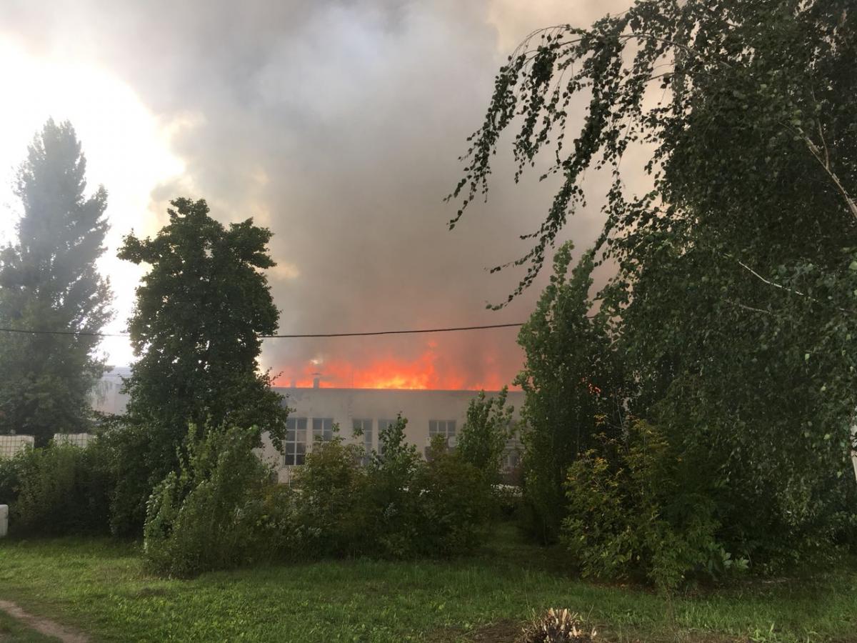 Площадь пожара сейчас составляет ориентировочно 3 тыс. кв. м. / фото zhytomyr.dsns.gov.ua Площадь пожара сейчас составляет ориентировочно 3 тыс. кв. м. / фото zhytomyr.dsns.gov.ua