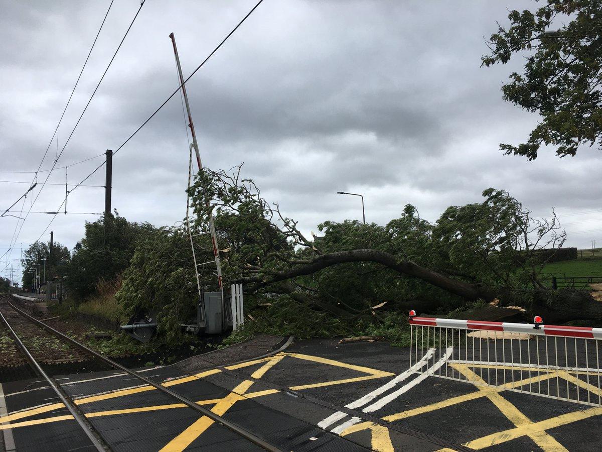 Последствия шторма "Али" / REUTERS