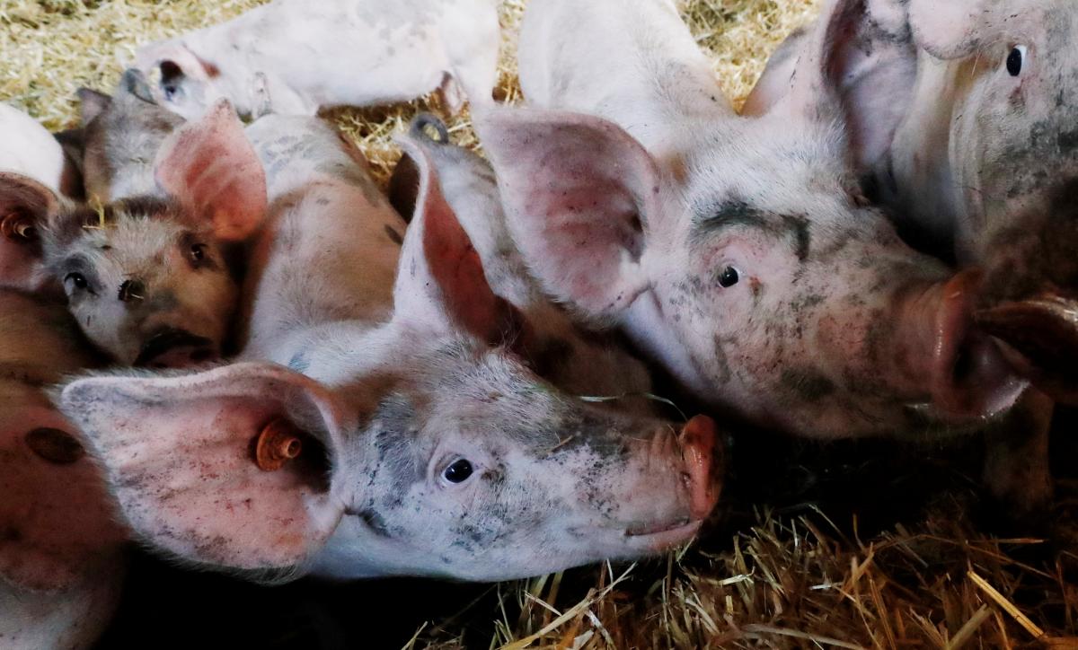 Ілюстрація REUTERS