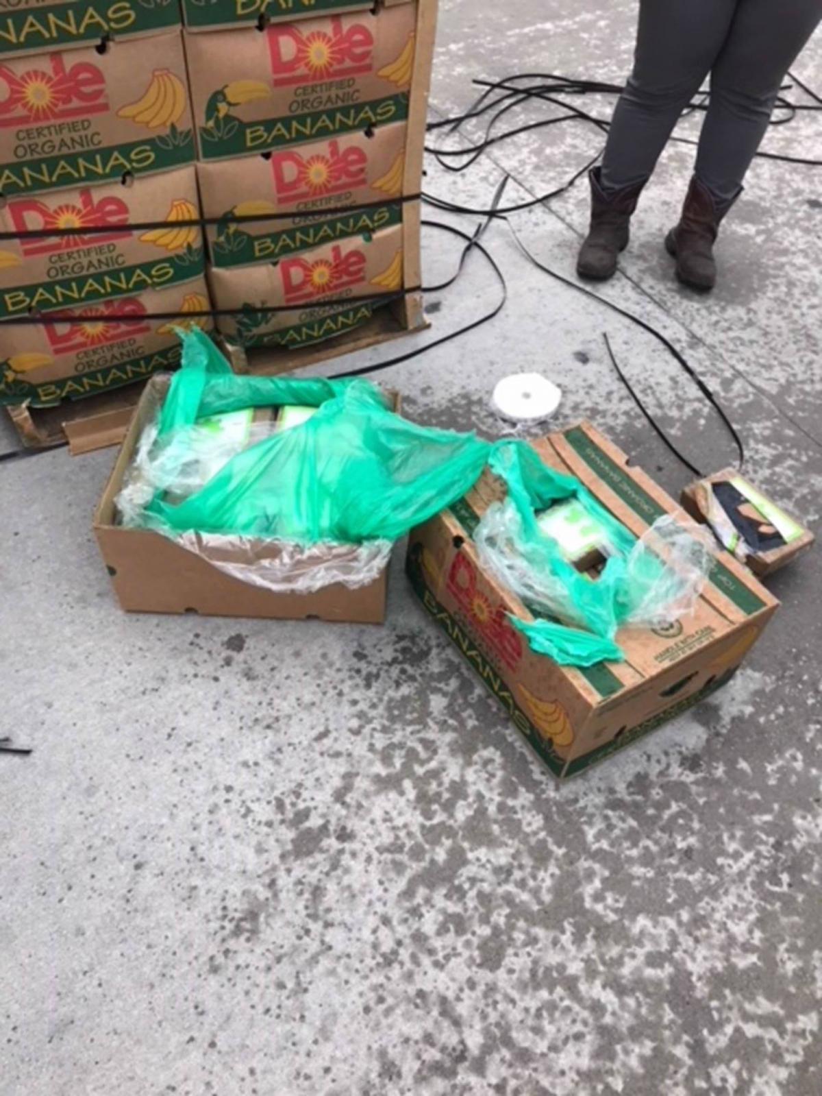 Наркотики были найдены на двух поддонах бананов / фото facebook.com/TexasDepartmentofCriminalJustice Наркотики были найдены на двух поддонах бананов / фото facebook.com/TexasDepartmentofCriminalJustice