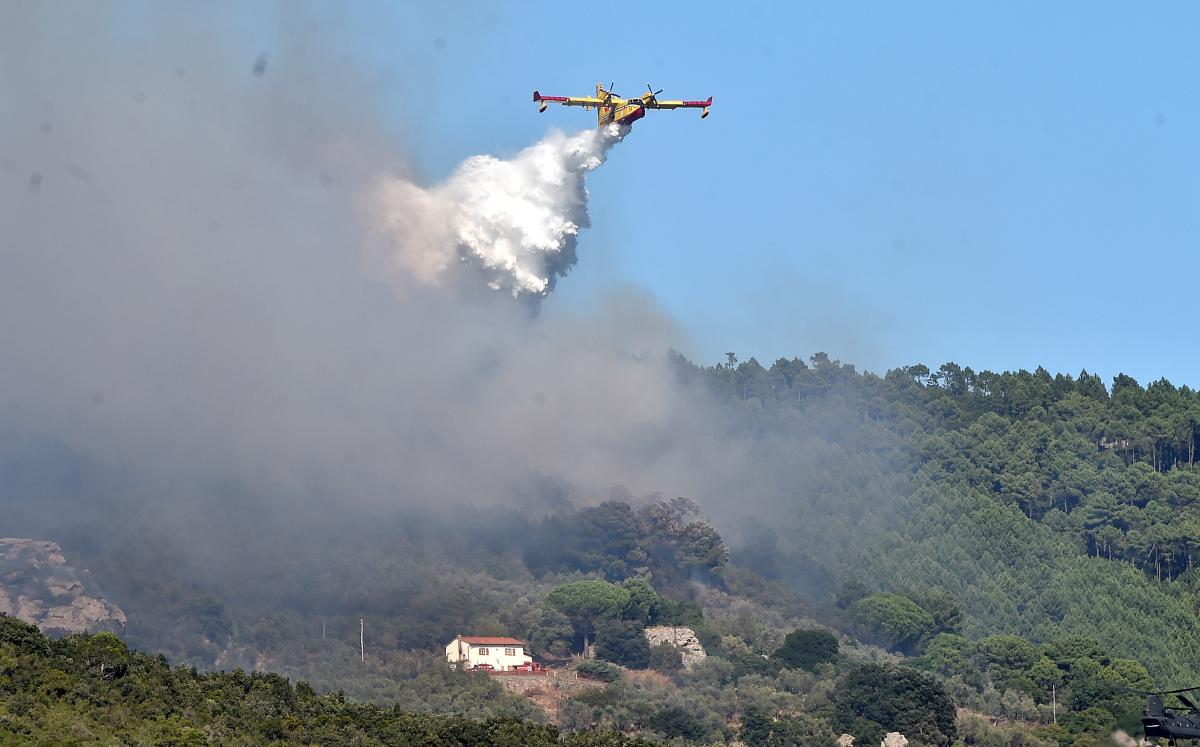 В Італії лютує лісова пожежа / REUTERS