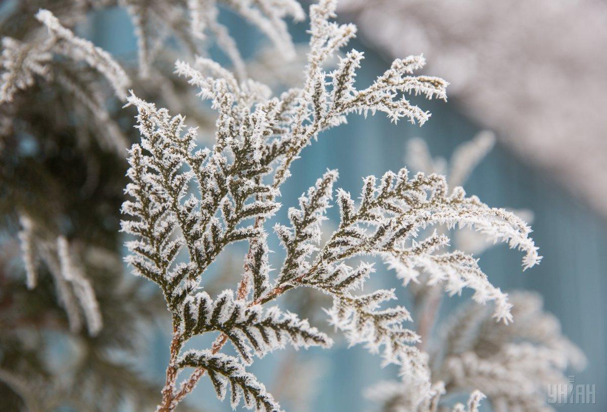 26 січня в Україні буде холодно / фото УНІАН