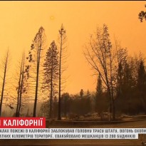 У Північній Каліфорнії екстрено евакуювали людей через нові лісові пожежі (відео)