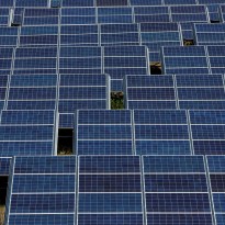 China’s Energy Group shows interest in Ukraine’s renewables but weighs risks – Kyiv Post