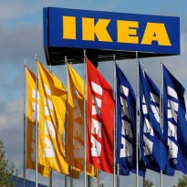 Reuters: IKEA to review its Ukrainian wood supply after critical report