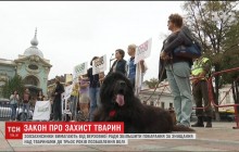 В Киеве митингующие под Радой требовали увеличить наказание за издевательство над животными (видео)