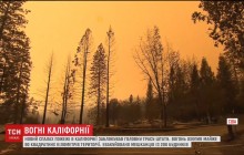 В Северной Калифорнии экстренно эвакуировали людей из-за новых лесных пожаров (видео)
