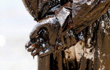 На Шри-Ланке ликвидируют последствия масштабного разлива нефти в океан (фоторепортаж, видео)