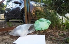 В Британии назвали слово года