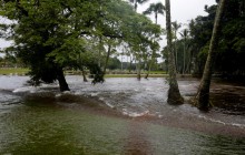 Гавайские острова пострадали от тропического шторма "Оливия"