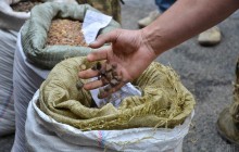 Zelensky submits bill on criminal liability for illegal amber extraction