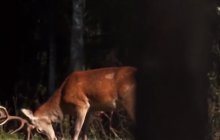 Журналісти програми "Гроші" розкрили головну таємницю місця зборів партії Порошенка (відео)