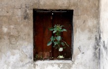 Reuters показало життя в місті-привиді Малакаль (фоторепортаж)