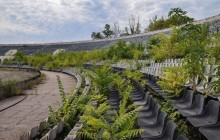 В сети показали "оккупированный" бурьяном стадион "Шахтер" в Донецке (фото)