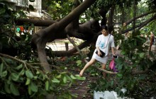 Четыре человека погибли в результате тайфуна "Мангхут" на юге Китая